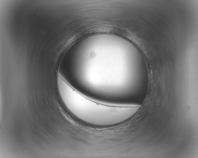 X0000065960013200603030941