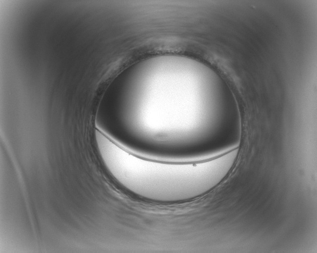 X0000065960017200603030941