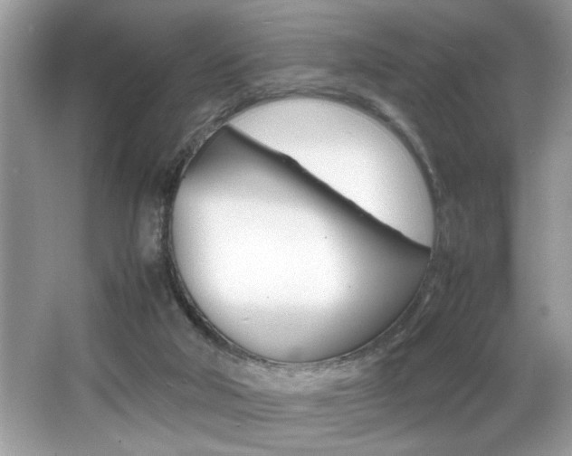 X0000065960018200603030941