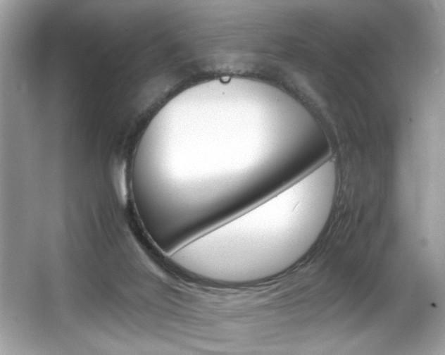 X0000065960020200603030941