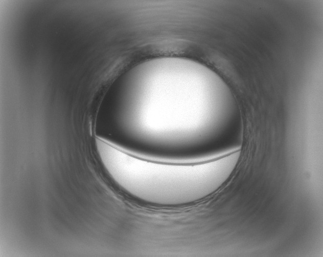 X0000065960021200603030941