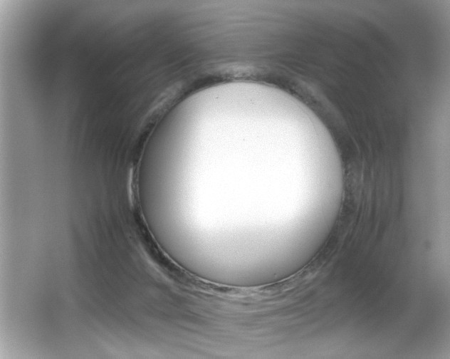 X0000065960024200603030941