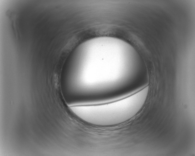 X0000065960025200603030941