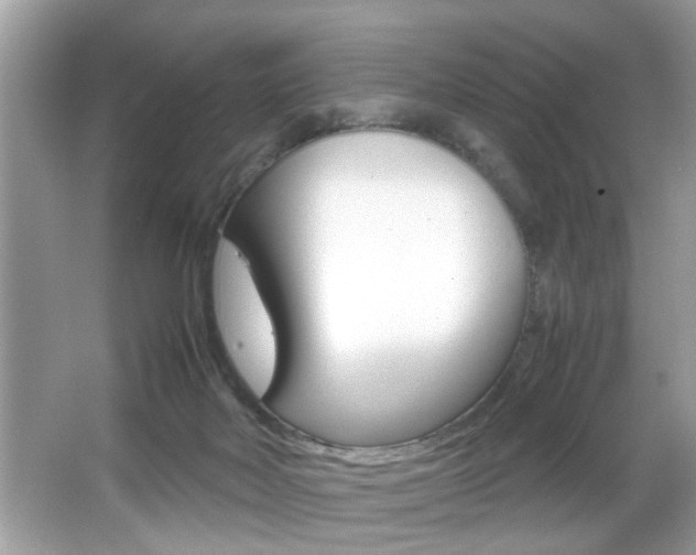X0000065960026200603030941