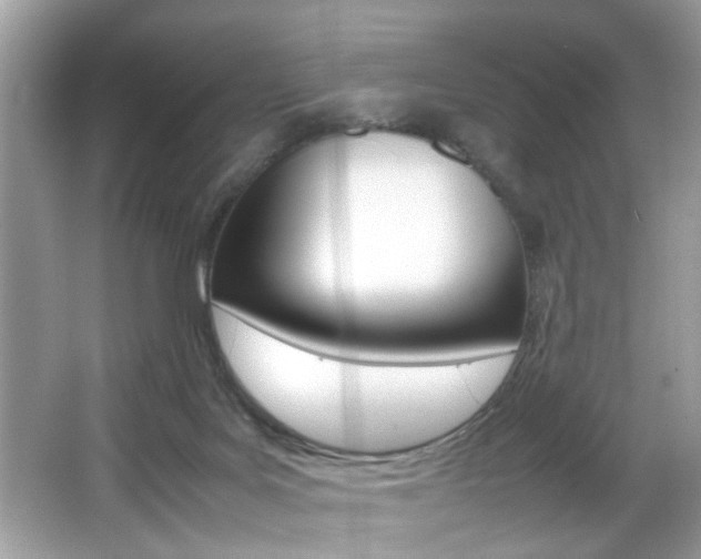X0000065960027200603030941