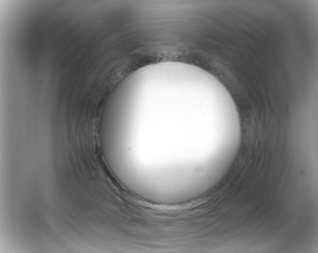 X0000065960034200603030940
