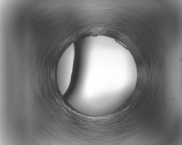 X0000065960046200603030940