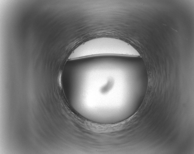 X0000065960047200603030940