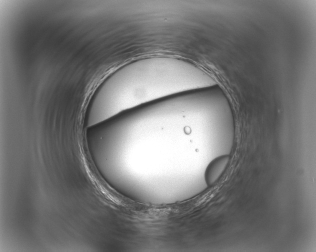 X0000065960049200603030939