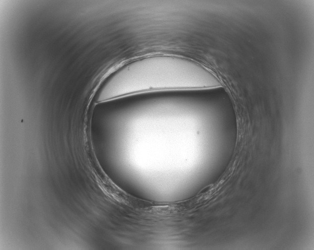 X0000065960050200603030939