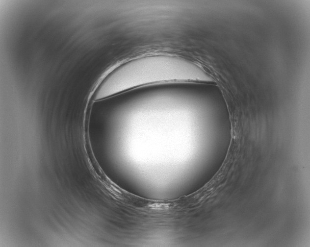 X0000065960052200603030939
