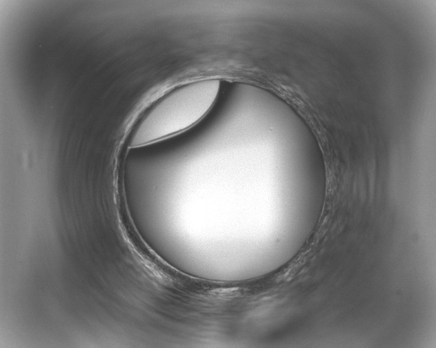 X0000065960054200603030939