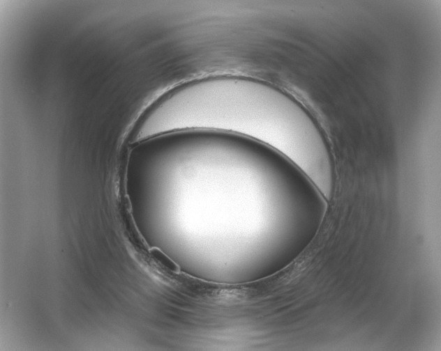 X0000065960060200603030940