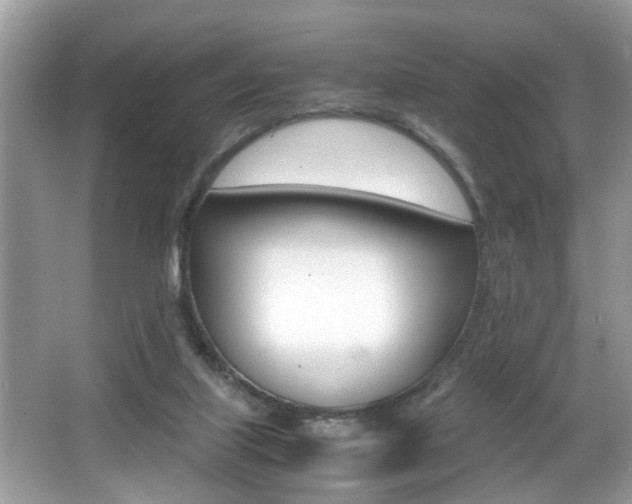 X0000065960067200603030940
