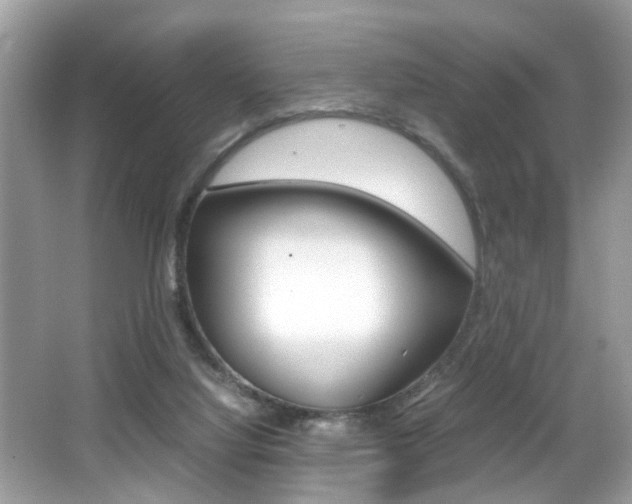 X0000065960068200603030940