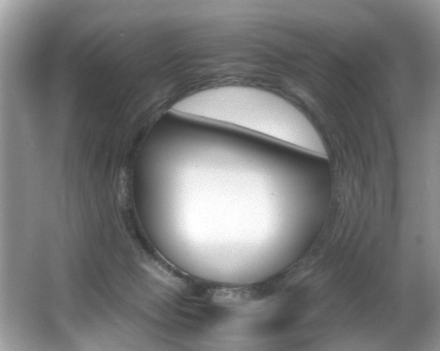 X0000065960077200603030940