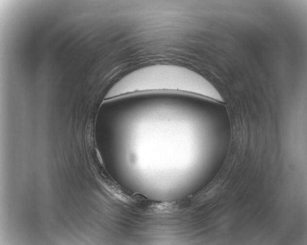 X0000065960092200603030940
