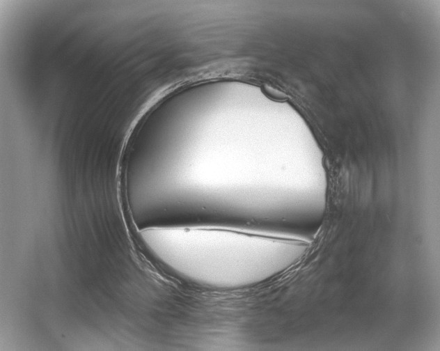 X0000065960100200603030939