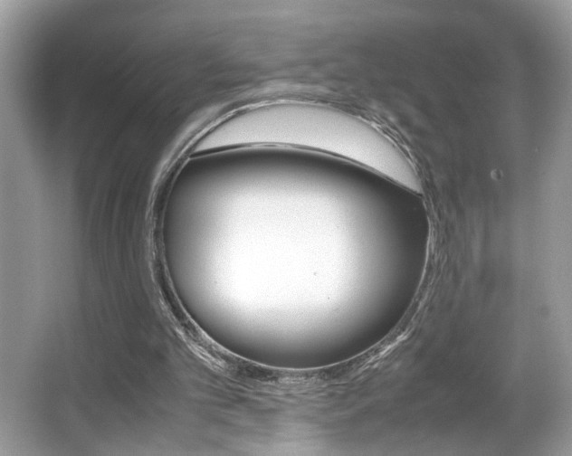 X0000065960101200603030939