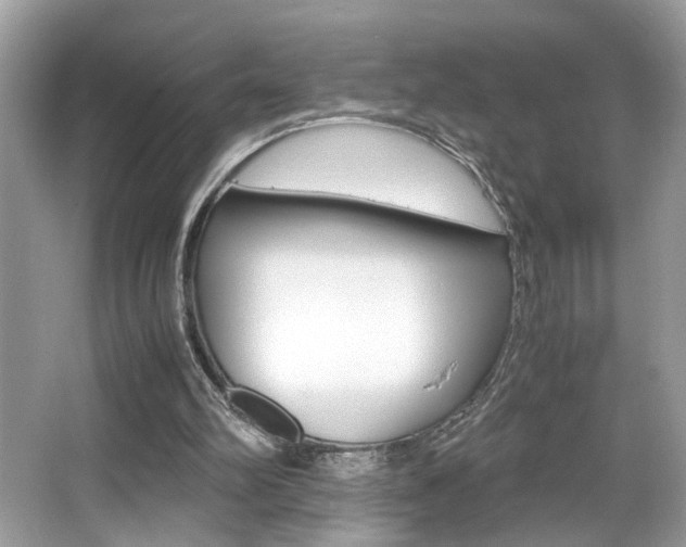 X0000065960102200603030939