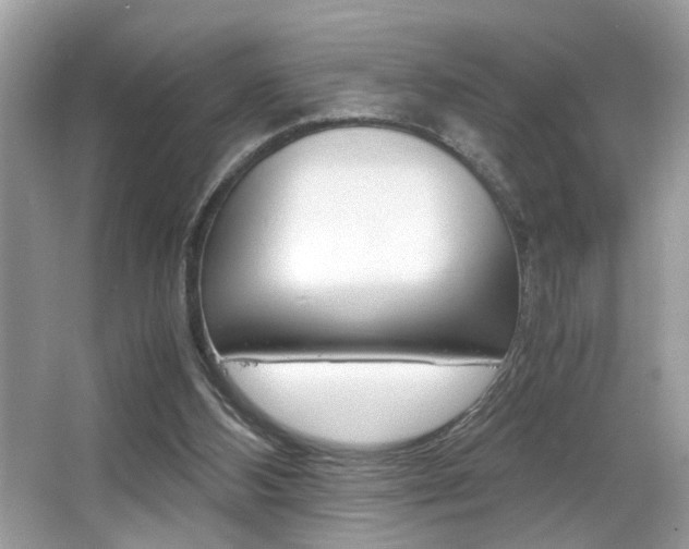 X0000065960108200603030939