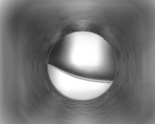 X0000065960131200603030939