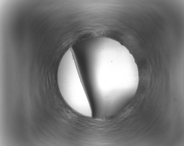 X0000065960139200603030939
