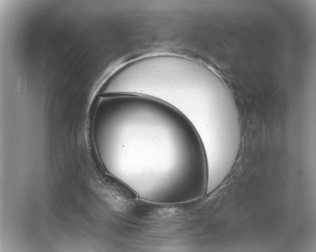 X0000065960152200603030938