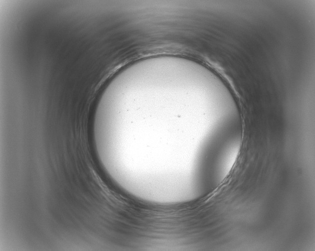 X0000065960154200603030938