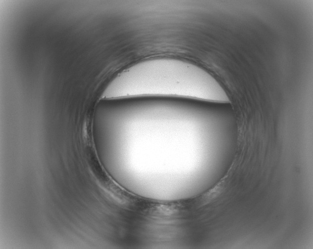X0000065960166200603030938