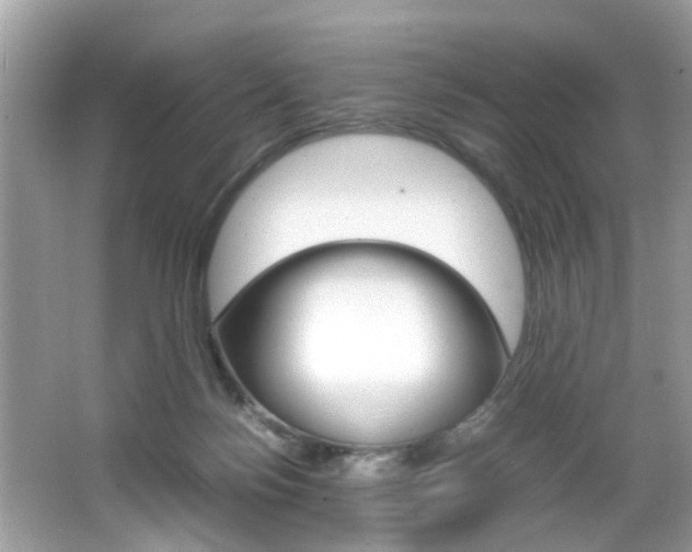 X0000065960172200603030938