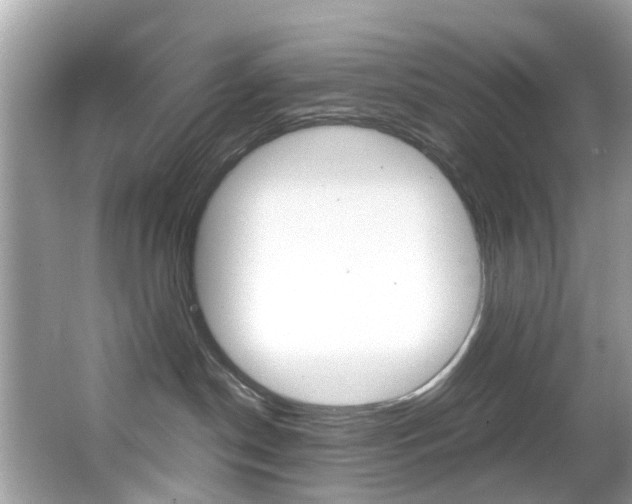 X0000065960190200603030938