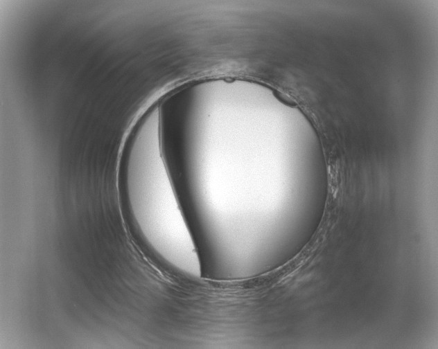 X0000065960196200603030938