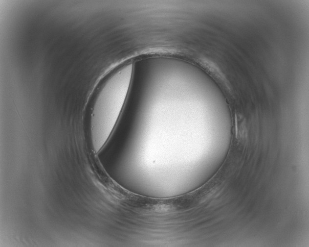 X0000065960204200603030938