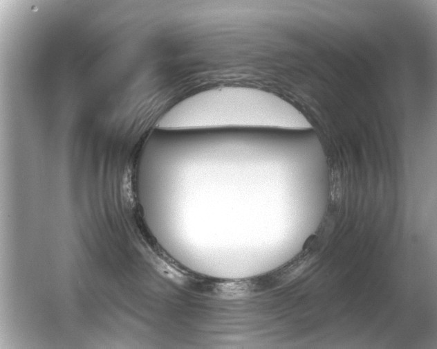 X0000065960238200603030937