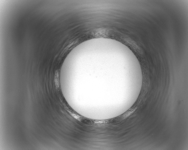 X0000065960240200603030937