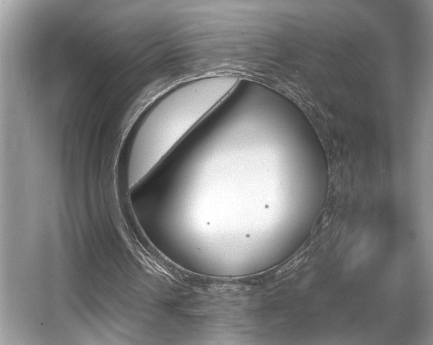 X0000065960242200603030936