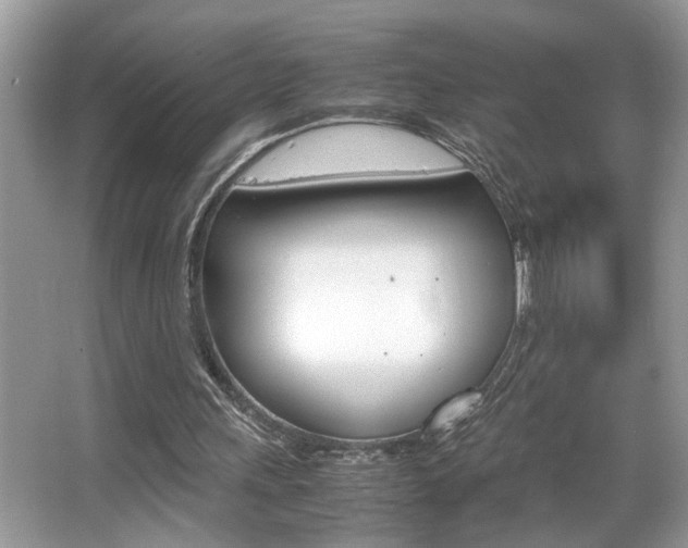 X0000065960243200603030936
