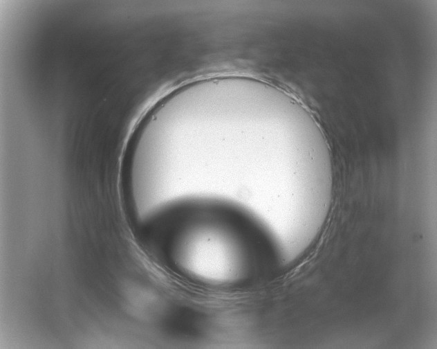 X0000065960248200603030936