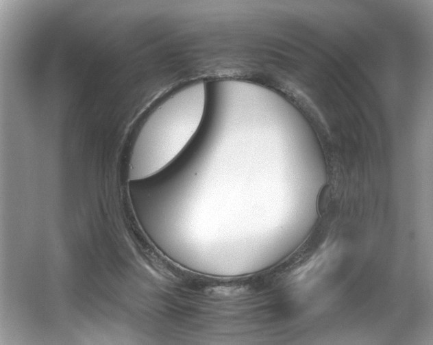X0000065960251200603030936