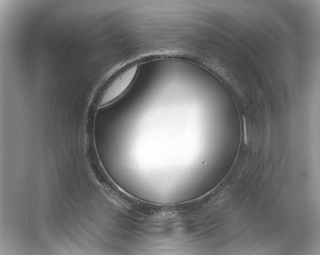 X0000065960252200603030936