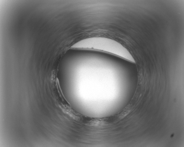 X0000065960284200603030937