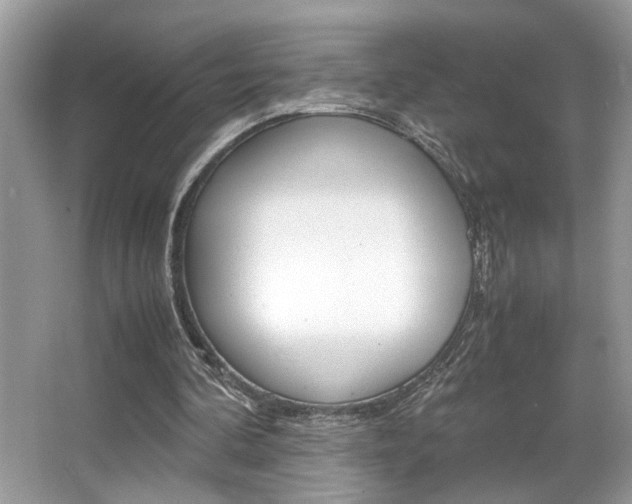 X0000065960292200603030936