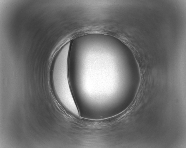X0000065960293200603030936