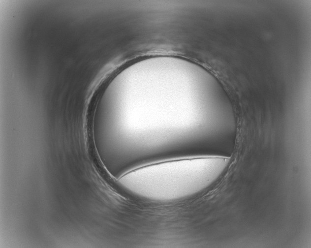 X0000065960296200603030936