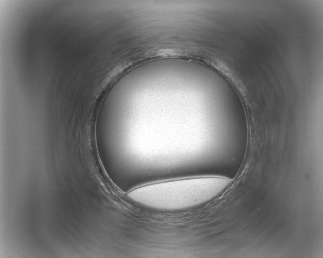 X0000065960297200603030936