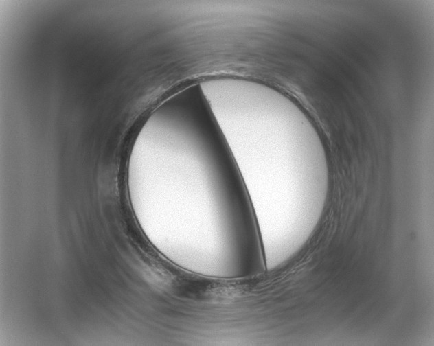 X0000065960299200603030936