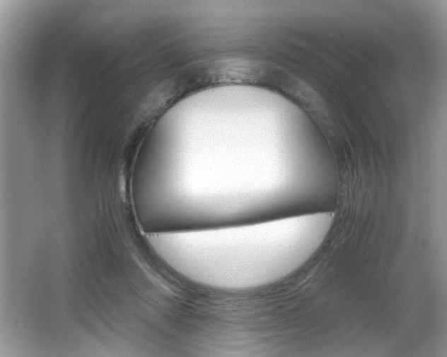 X0000065960310200603030936