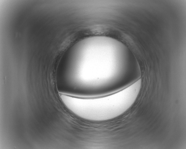 X0000065960317200603030936
