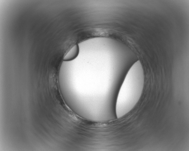 X0000065960322200603030936